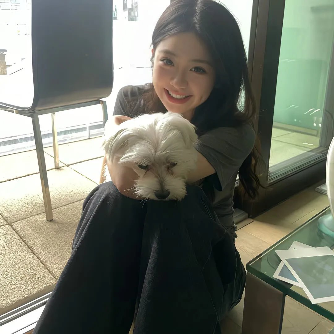 小夜莺